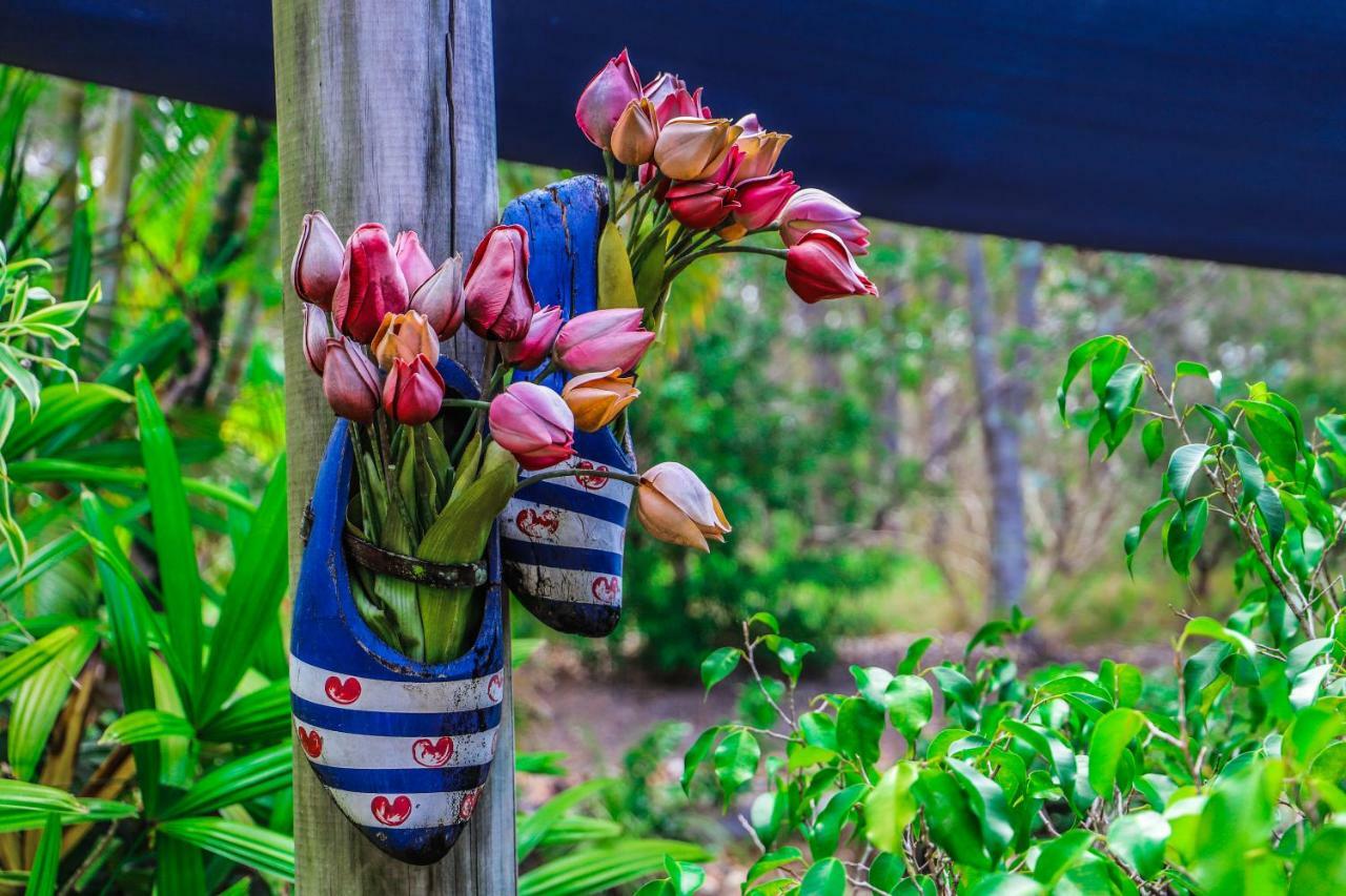 Cool Bananas Backpackers Agnes Water Exterior foto