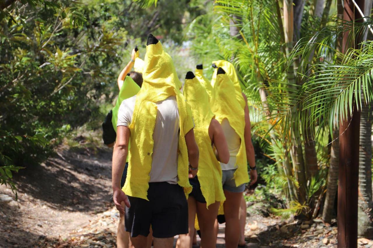 Cool Bananas Backpackers Agnes Water Exterior foto