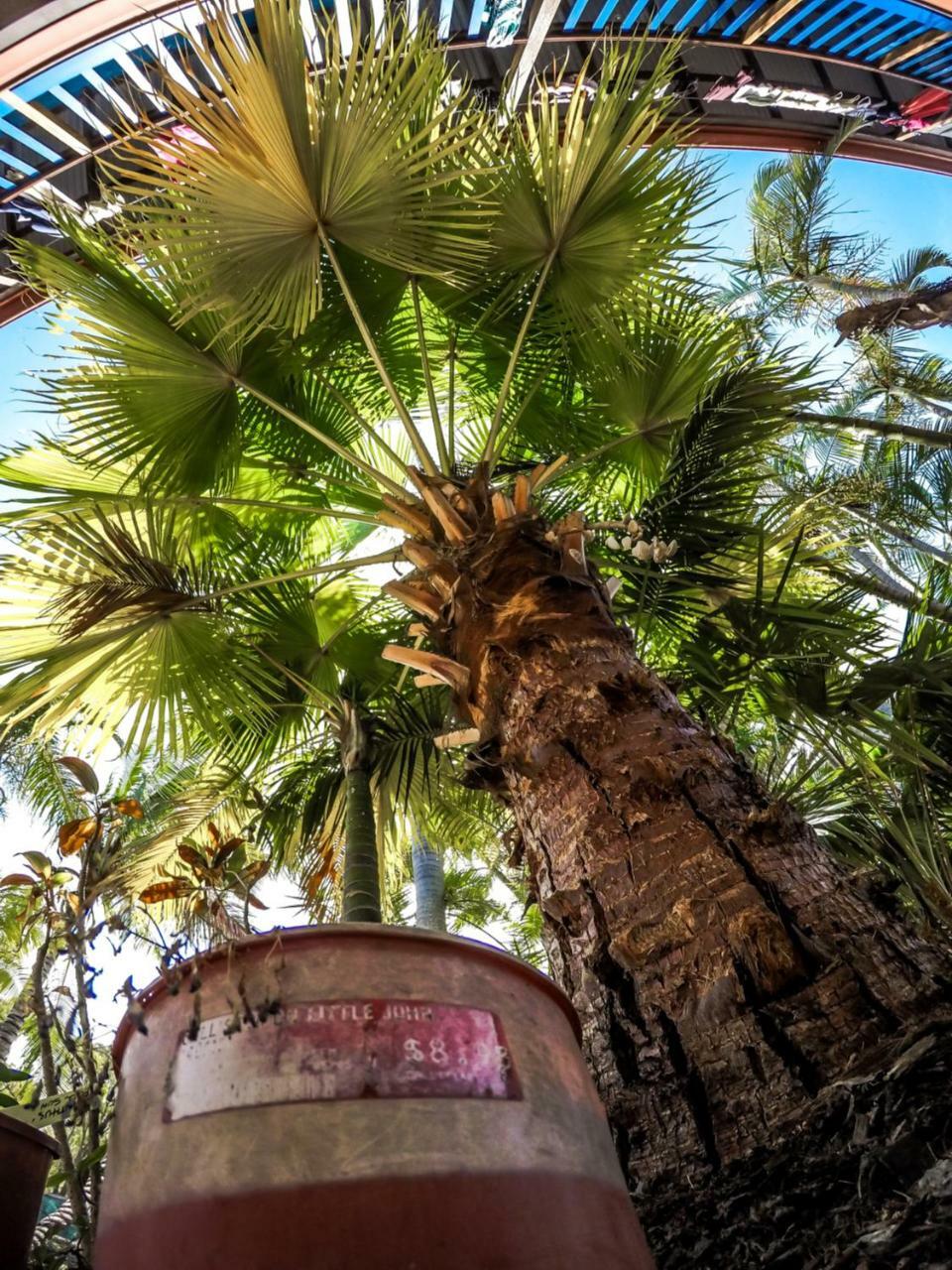 Cool Bananas Backpackers Agnes Water Exterior foto